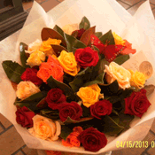 Mixed Roses