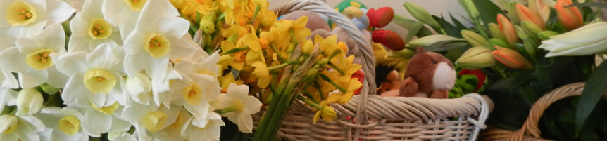 Four Seasons Florist, Newtown Wellington New Zealand